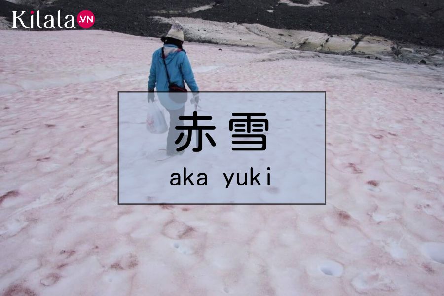 tuyet-trong-tieng-nhat